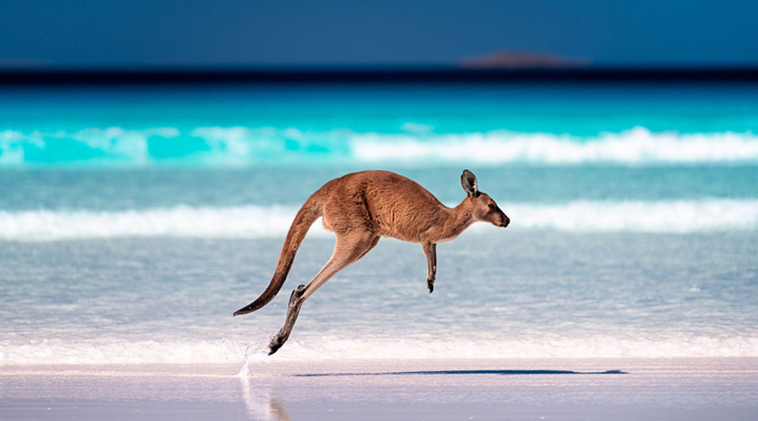 20 Reasons to Visit Australia